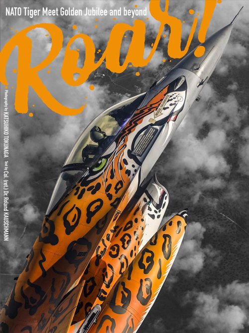 Roar!　NATO タイガーミートの10年