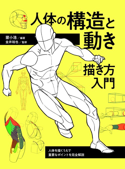人体の構造と動き 描き方入門　人体を描くうえで重要なポイントを完全解説