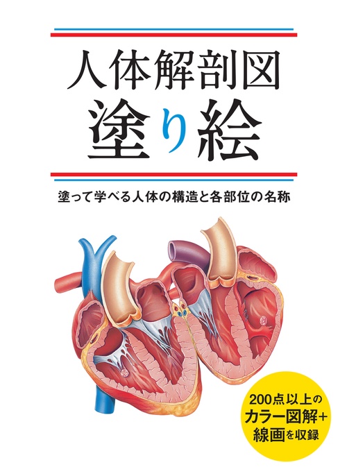 人体解剖図塗り絵　塗って学べる人体の構造と各部位の名称
