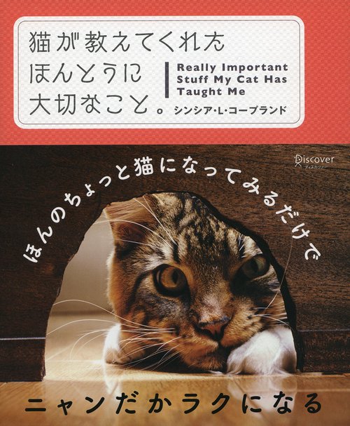 猫が教えてくれたほんとうに大切なこと。