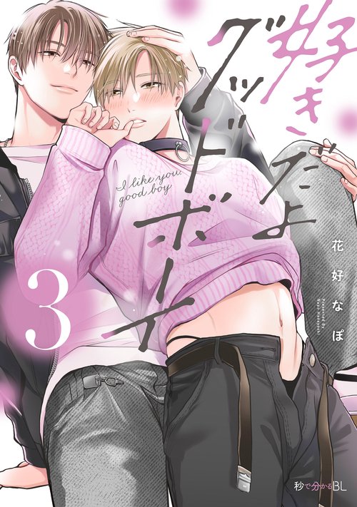 好きだよグッドボーイ 3