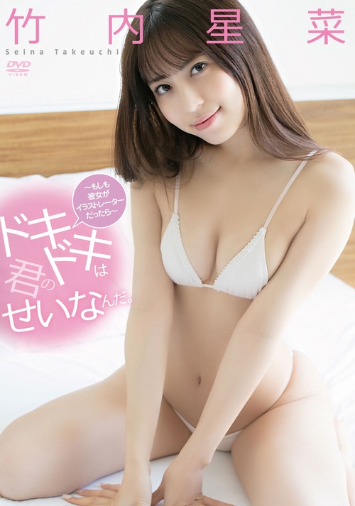 DVD　竹内星菜　「ドキドキは君のせいなんだ　もしも彼女がイラストレーターだったら　」