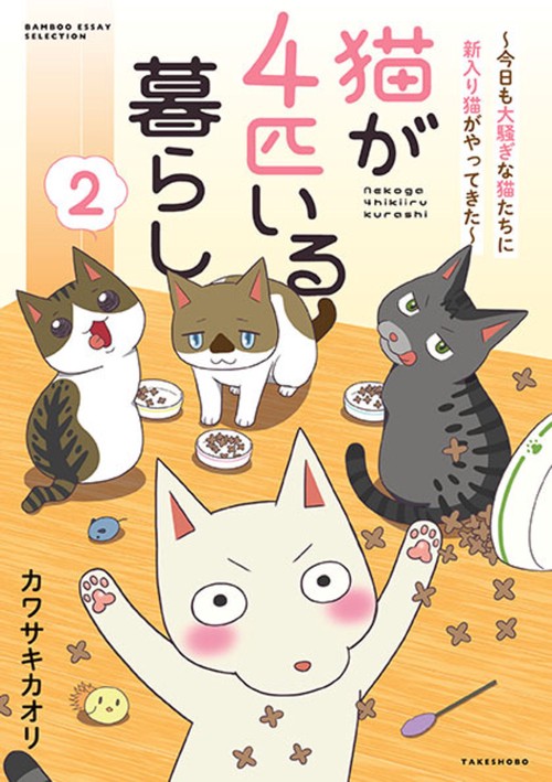 猫が４匹いる暮らし 2