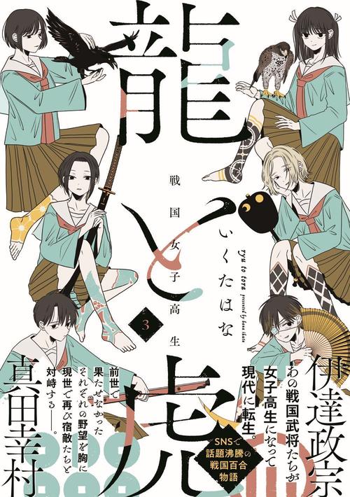 戦国女子高生龍と虎 3