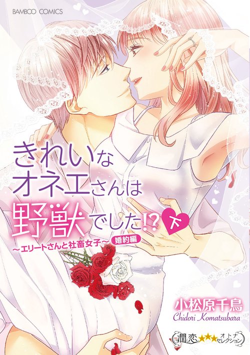 きれいなオネエさんは野獣でし 婚約編 下
