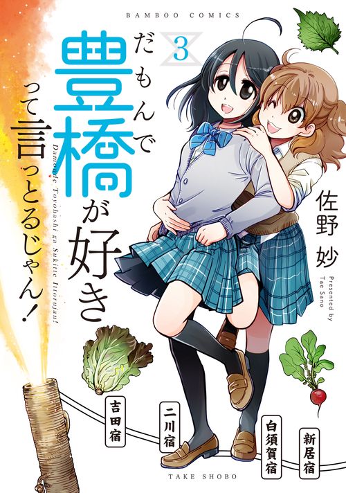 だもんで豊橋が好きって言っとるじゃん 3