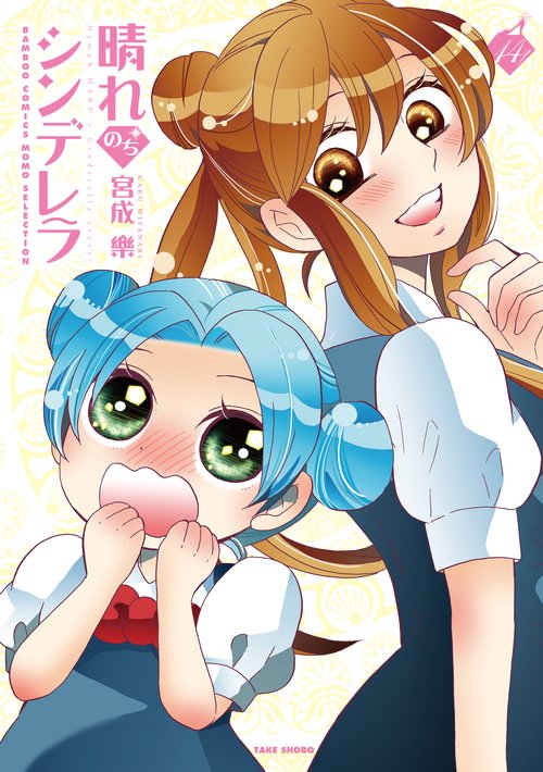 晴れのちシンデレラ 14