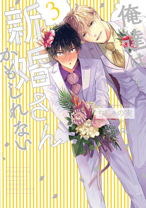 俺達は新婚さんかもしれない 3