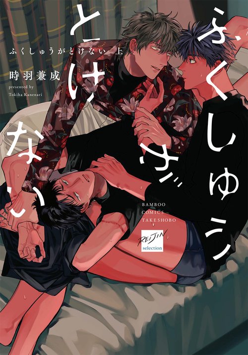 ふくしゅうがとけない 上