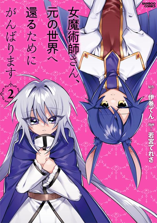 女魔術師さん、元の世界へ還るためにが 2