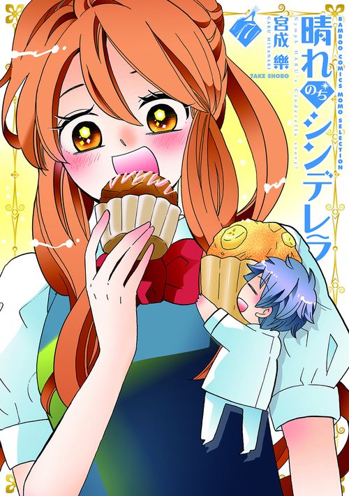 晴れのちシンデレラ 17