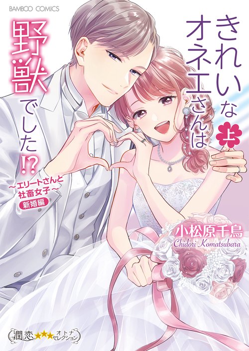 きれいなオネエさんは野獣でした！？～エリートさんと社畜女子～新婚編 上