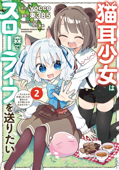 猫耳少女は森でスローライフを送りたい ～もふもふは所望しましたが、聖女とか王子様とかは注文外です～ 2