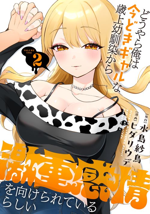 どうやら俺は今どきギャルな歳上幼馴染から激重感情を向けられているらしい 2
