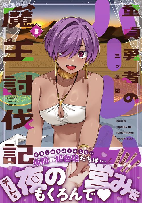 童貞勇者のハーレム魔王討伐記 3