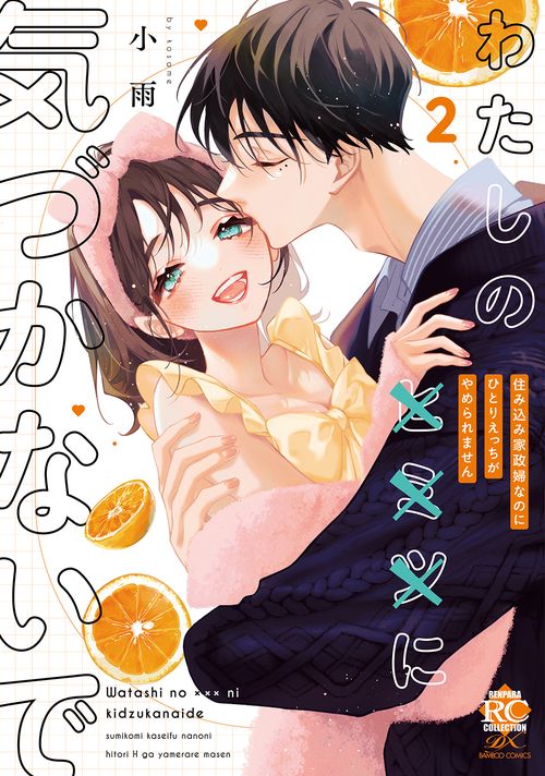 わたしの×××に気づかないで　住み込み家政婦なのにひとりえっちがやめられません 2