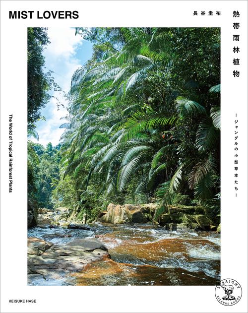 熱帯雨林植物 MIST LOVERS ―ジャングルの小型草本たち―
