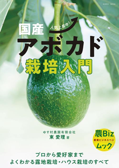 国産アボカド栽培入門 人気上昇中!