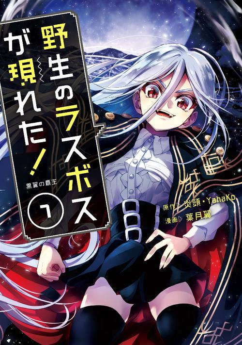 野生のラスボスが現れた！黒翼の覇王