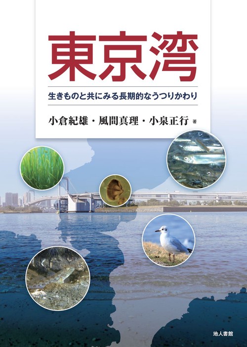 東京湾