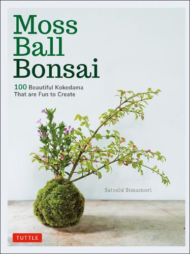 Moss Ball Bonsai 100 Beautiful Kokedama That are Fun to Create