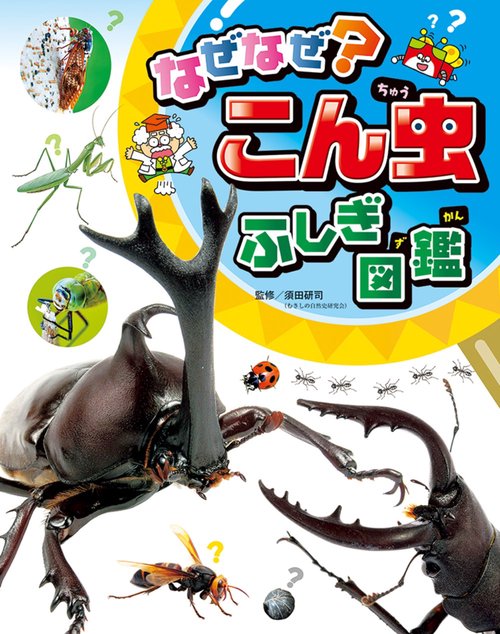 なぜなぜ？こん虫ふしぎ図鑑
