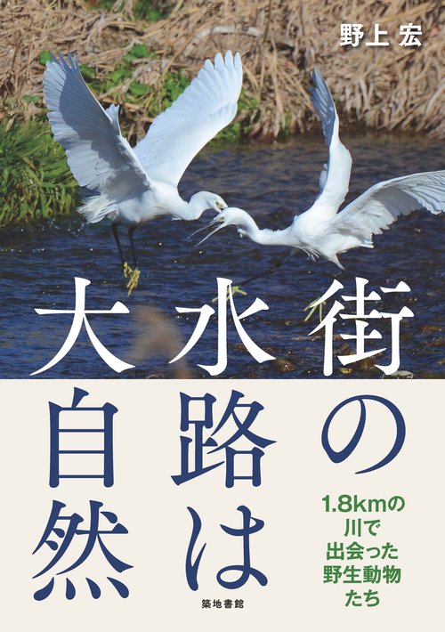 街の水路は大自然 1.8kmの川で出会った野生動物たち