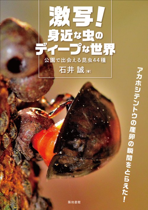 激写！身近な虫のディープな世界