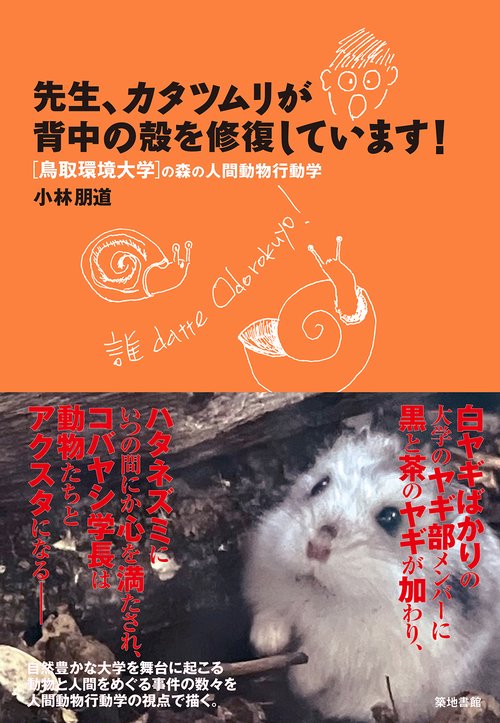 先生、カタツムリが背中の殻を修復しています！