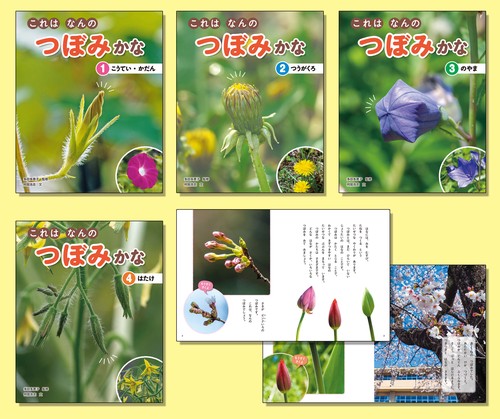 これはなんのつぼみかな 4巻セット