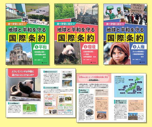 調べ学習に役立つ　地球と平和を守る 国際条約（全３巻セット）