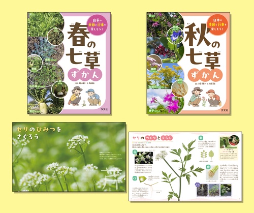 季節と行事の七草ずかん（全２巻セット）