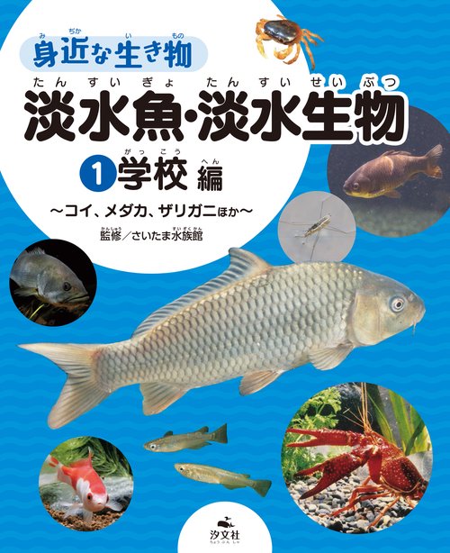 ①学校編コイ、メダカ、ザリガニほか