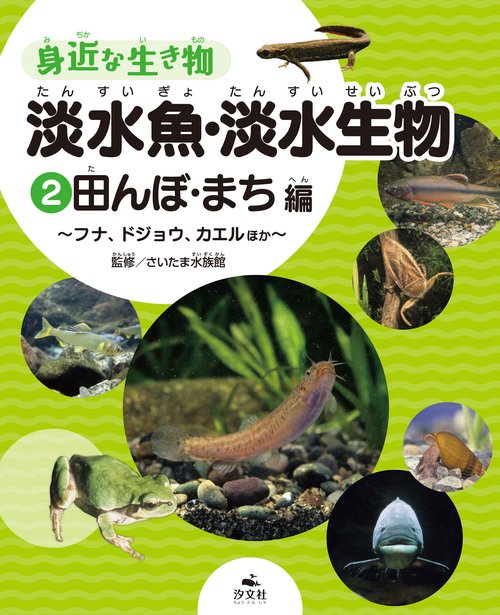 ②田んぼ・まち編フナ、ドジョウ、カエルほか