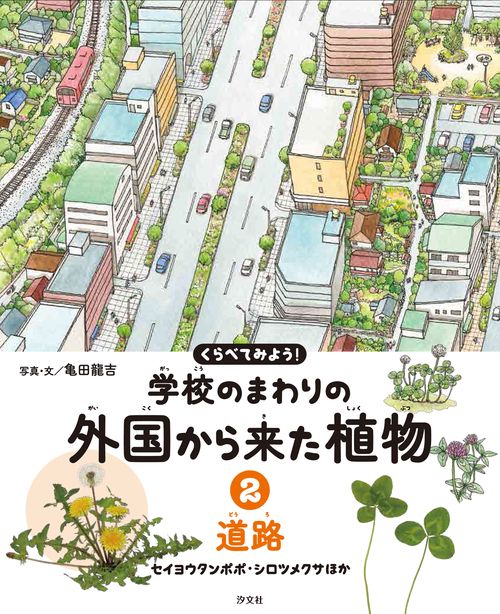 ②道路　セイヨウタンポポ・シロツメクサほか