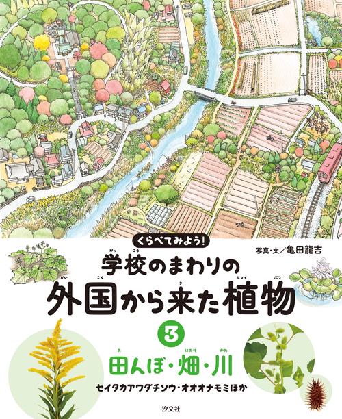 ③田んぼ・畑・川　セイタカアワダチソウ・オオオナモミほか