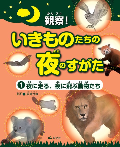 ①夜に走る、夜に飛ぶ動物たち