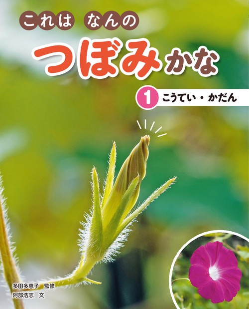 これはなんのつぼみかな1　こうてい・かだん