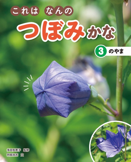 これはなんのつぼみかな3　のやま