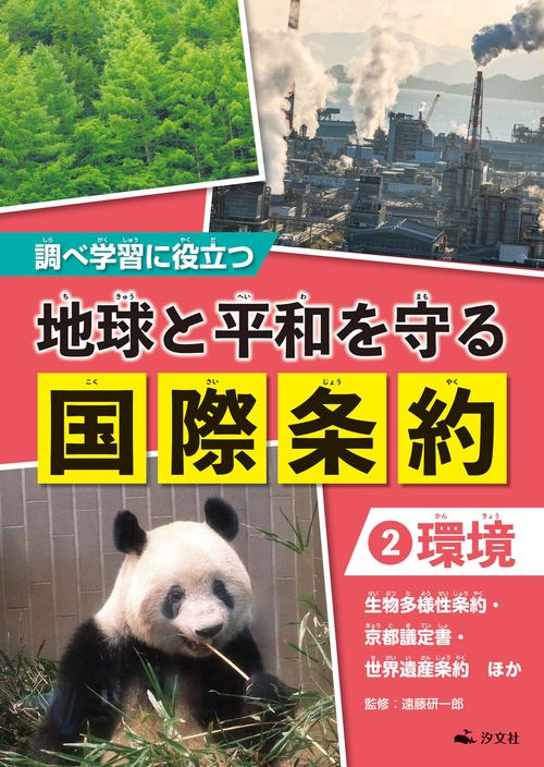 ②【環境】 生物多様性条約・パリ協定・世界遺産条約　ほか