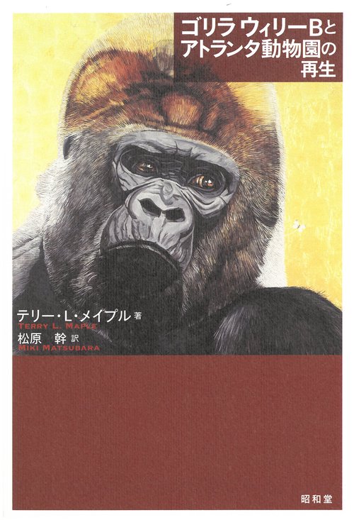 ゴリラ ウィリーBとアトランタ動物園の再生
