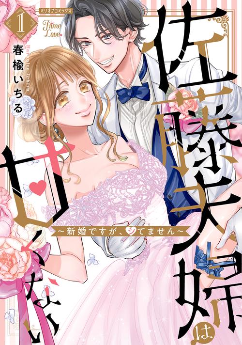 佐藤夫婦は甘くない新婚ですが、シてません１