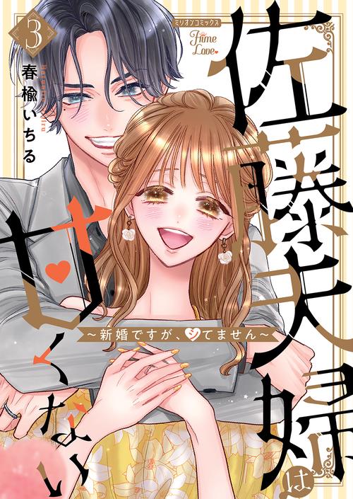 佐藤夫婦は甘くない新婚ですが、シてません３