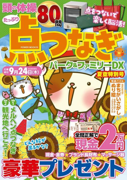 点つなぎパーク＆ファミリーＤＸ　夏空特別号