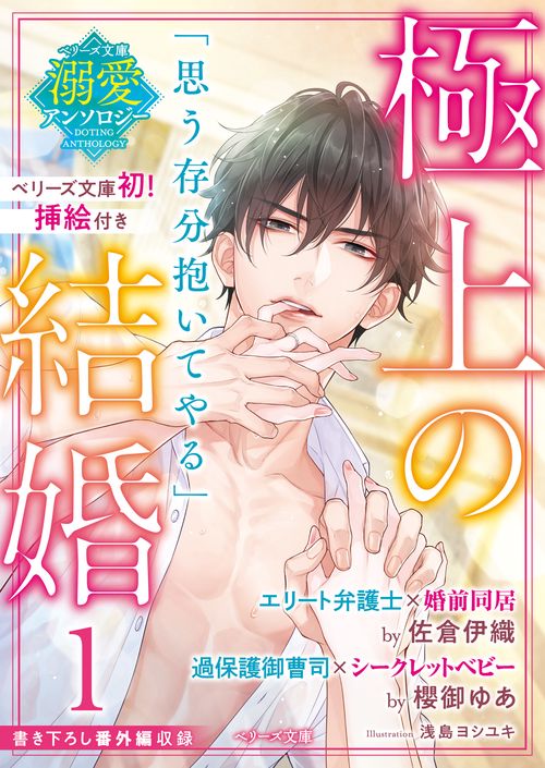 【ベリーズ文庫溺愛アンソロジー】極上の結婚１弁護士＆御曹司編