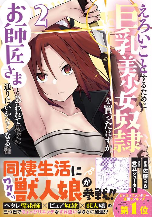 えろいことするために巨乳美少女奴隷を買ったはずが、お師匠さまと慕われて思った通りにいかなくなる話 2