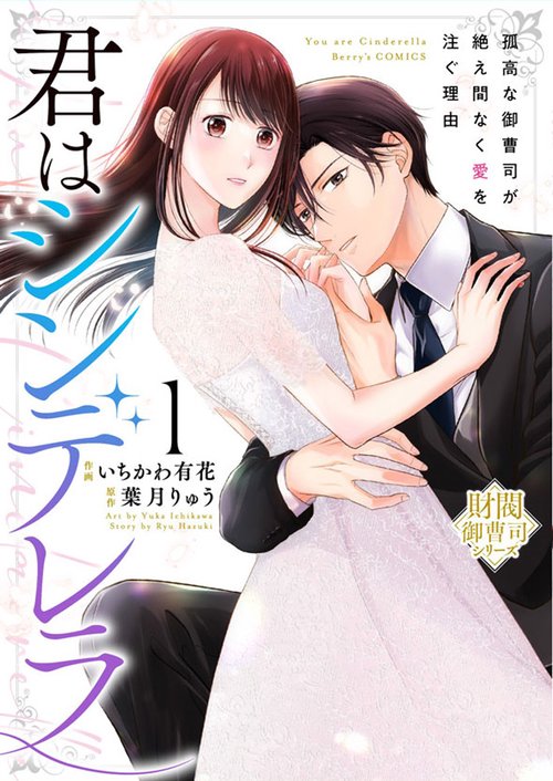 君はシンデレラ～孤高な御曹司が絶え間なく愛を注ぐ理由～【財閥御曹司シリーズ】　１
