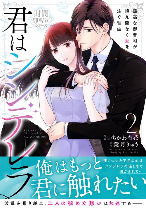 君はシンデレラ～孤高な御曹司が絶え間なく愛を注ぐ理由～【財閥御曹司シリーズ】　２