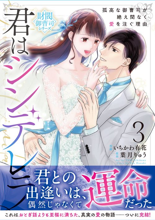 君はシンデレラ～孤高な御曹司が絶え間なく愛を注ぐ理由～【財閥御曹司シリーズ】　３