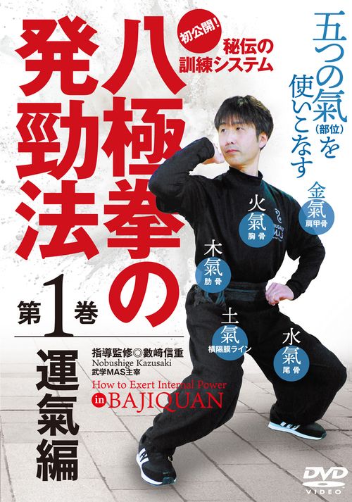 DVD 八極拳の発頸法 1
